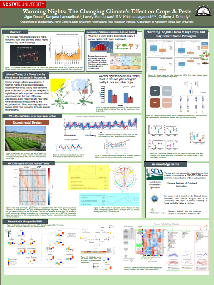 image of Colleen Doherty's poster, "Warming Nights: The Changing Climate's Effect on Crops &amp; Pests"