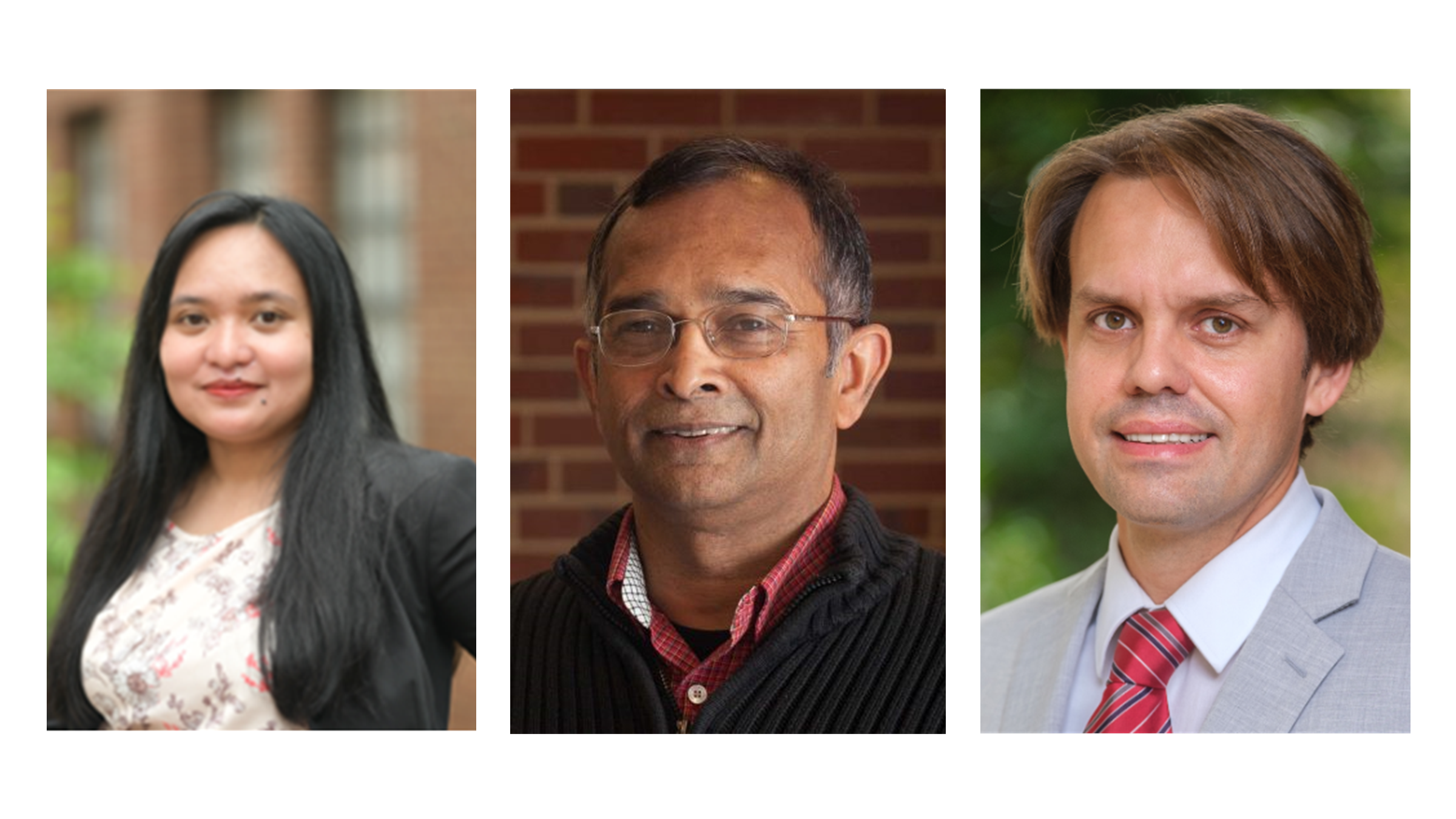 2025 cohort Firtriyah, Ranjithan and de Queiroz